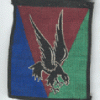 10° Division Parachutiste 