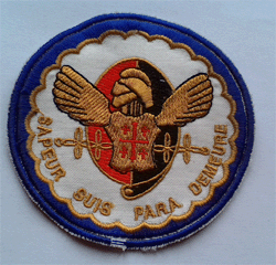 17° RGP- 1° Cie de Combat (Tour bleu).