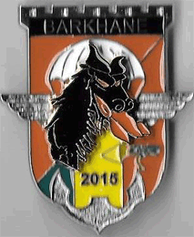 17° RGP-Ops BARKHANE (2015)