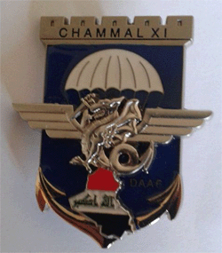 17° RGP Ops CHAMMAL XI