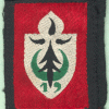 19° Division d'Infanterie