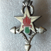 Légion Etrangére-2° CSPL 