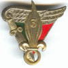 3° BEP (3° Bataillon Etranger de Parachutistes) variante