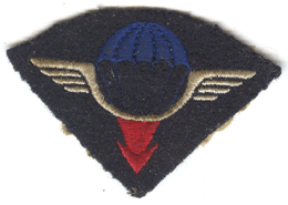 25° Division Aéroportée 