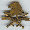 Insigne de bêret Cameroun