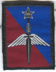 Brigade des Forces Spéciales Terre 