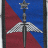 Brigade des Forces Spéciales Terre 