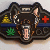 Brigade Specialisee K9 