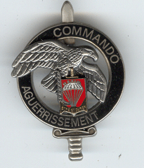 Commando Aguerrissement 3° RPIMa 