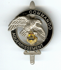 Commando Aguerrissement 6° BIMA 