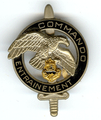 Commando Entrainement 6° BIMA (type 2)