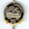 Commando Initiation 3° RIMA  (variante)