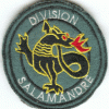 Division SALAMANDRE (2 liserés)