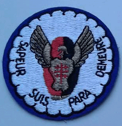 Ecusson du 17° RGP-1° Cie .
