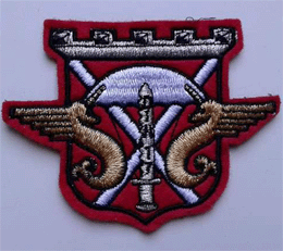 Ecusson du 17° RGP-CA-DIN .
