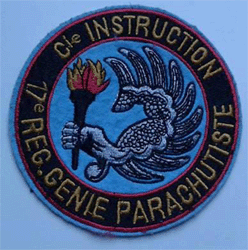 Ecusson du 17° RGP -CI .
