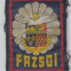 FAZSOI (Forces Armées de la Zone Sud de l'Océan Indien)