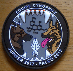 Gendarmerie Nationale- Equipe Cyno Jupiter et Falco (PVC).