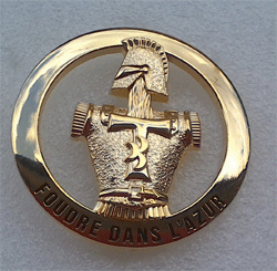 Insigne de beret 54 RT (cuirasse granuleuse ).