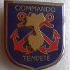 Insigne de beret Commando Tempete (REPRO)