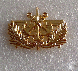 Insigne de Calot Commissaires des Armées ( petit modele )