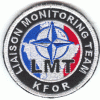 Liaison Monitoring Team 