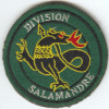 Opération SALAMANDRE 