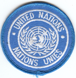 Organisations des Nations Unies (type 2) 