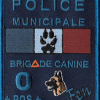 PM-Delta-Brigade Canine
