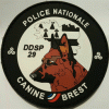 PN -DDSP 29 Canine Brest