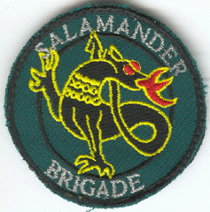 SALAMANDER Brigade 