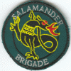 SALAMANDER Brigade 