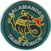 Salamander Task Force 