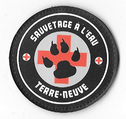 Sauvetage a l'eau-Terre Neuve 