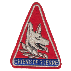 Chien de guerre 