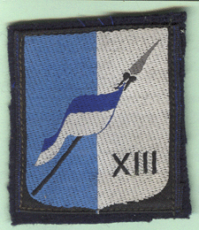 XIII° Brigade Mécanisée 