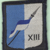 XIII° Brigade Mécanisée 